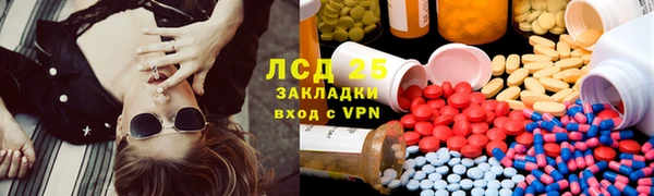 шишки Бородино