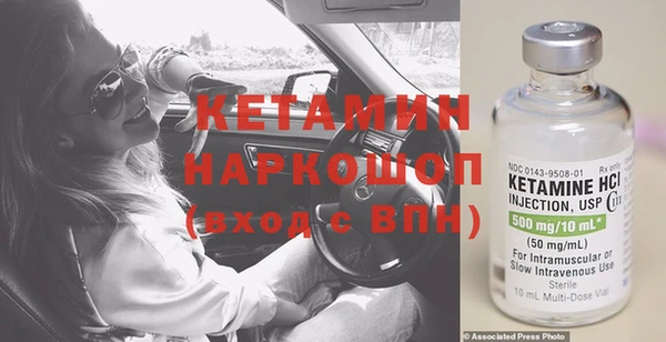 шишки Бородино