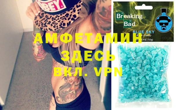 шишки Бородино
