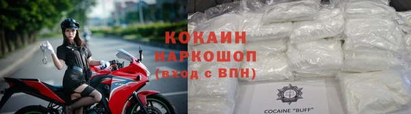 шишки Бородино