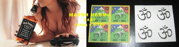 шишки Бородино