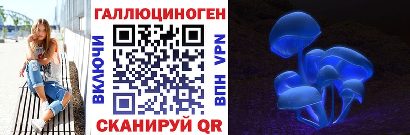 OMG онион  Новохопёрск  Галлюциногенные грибы GOLDEN TEACHER  купить  цена 