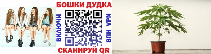 блэк спрут онион  Новохопёрск  Марихуана VHQ 